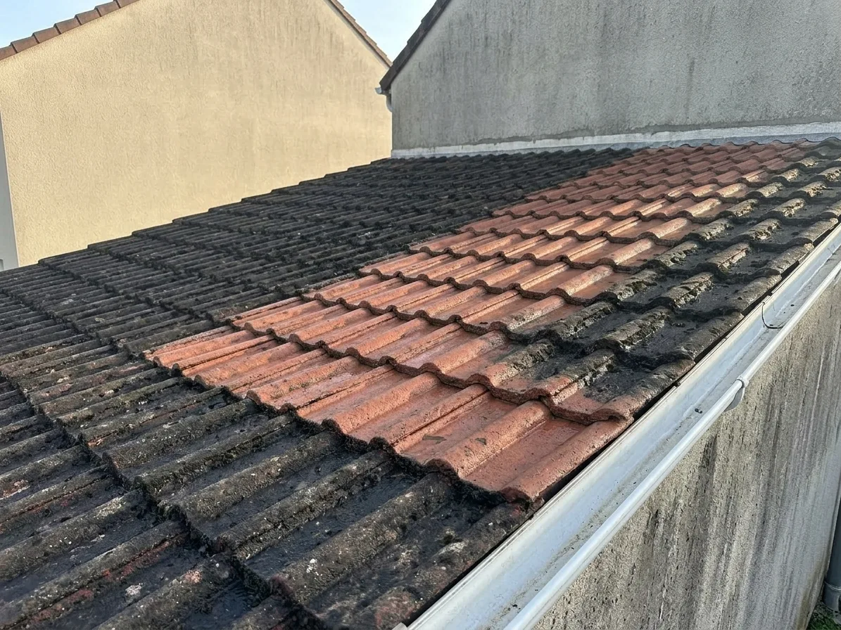 Démoussage de toiture à Le Mée-sur-Seine Démoussage de toiture à Le Mée-sur-Seine